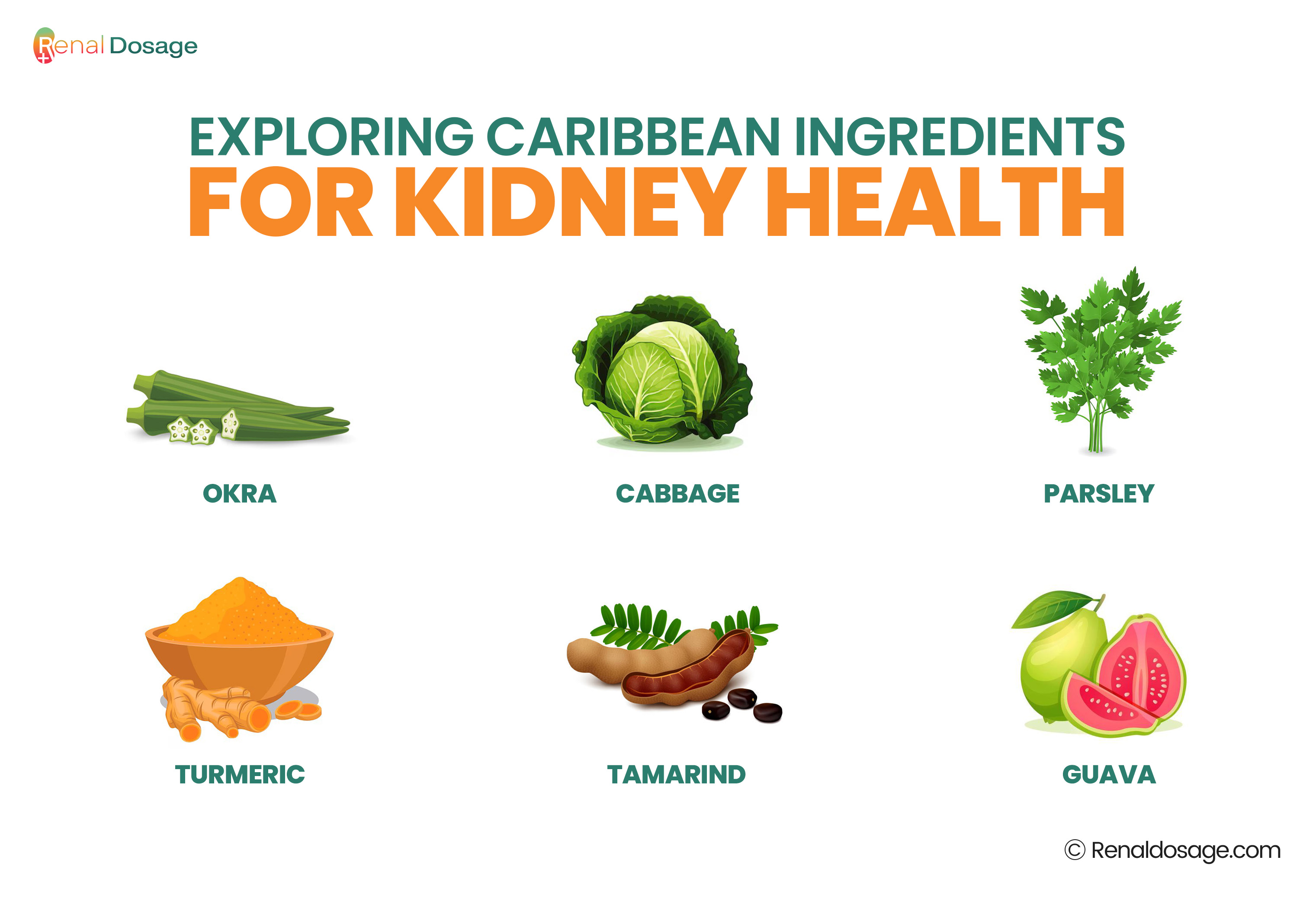 Exploring Caribbean Ingredients for Kidney Health